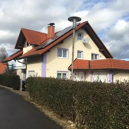 Haus Zeichner 4 Zimmer Ferienwohnung Feldberg  Exterior photo