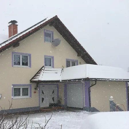 Haus Zeichner 4 Zimmer Ferienwohnung Feldberg  Exterior photo