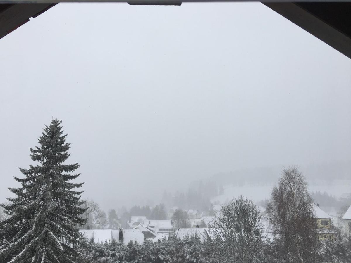 Haus Zeichner 4 * Feldberg (Baden-Wurttemberg)