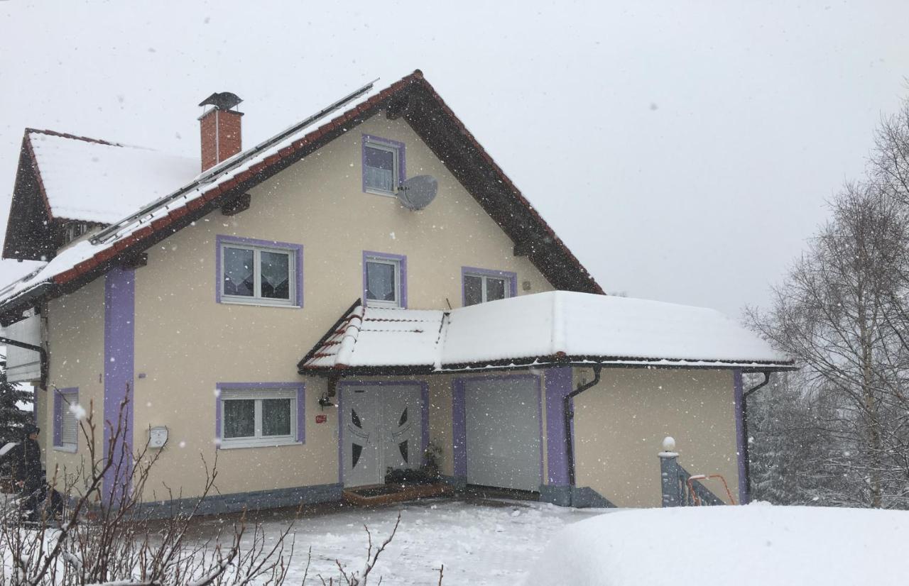 Haus Zeichner 4 *
