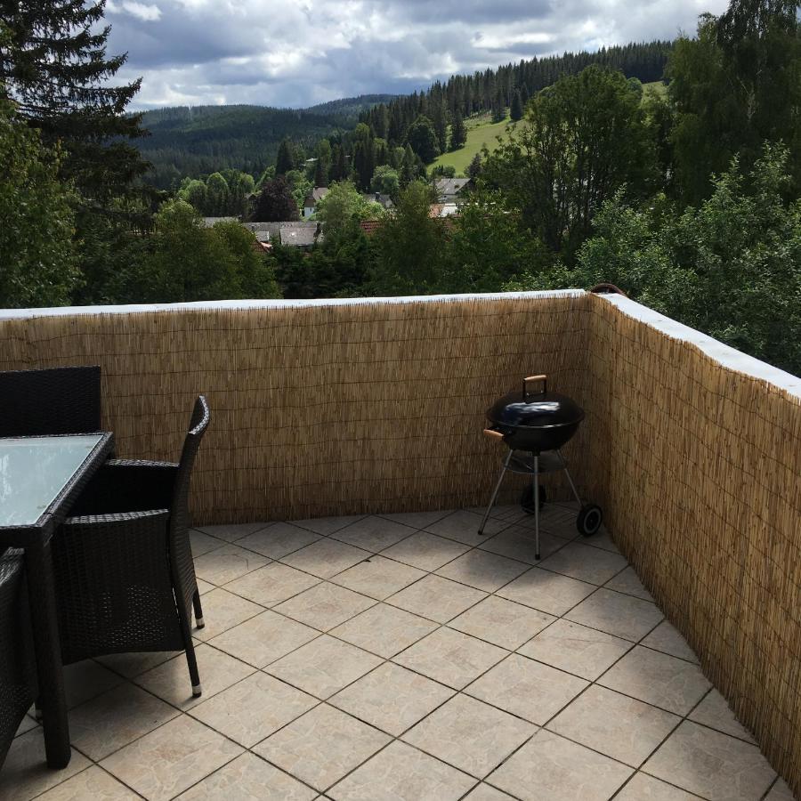 Apartment Haus Zeichner 4 *